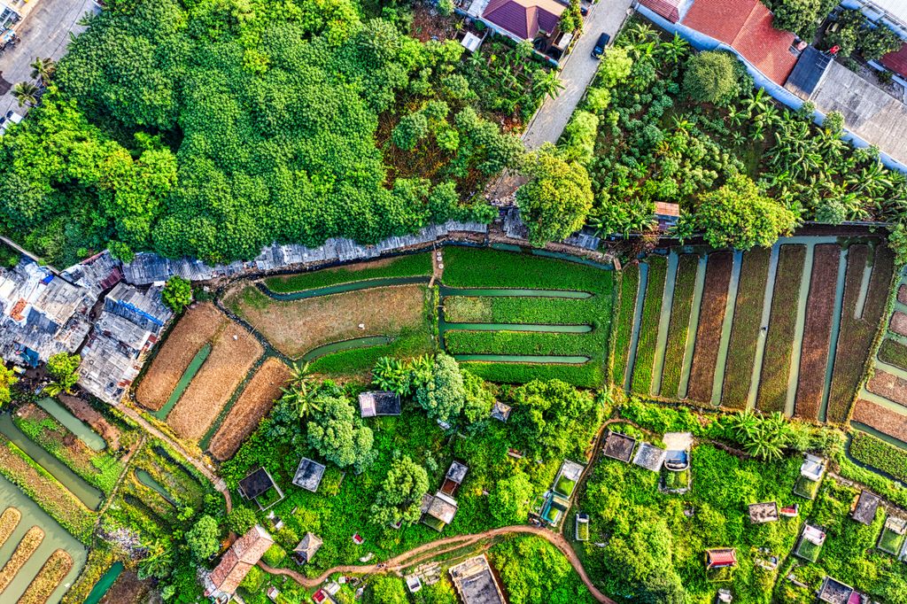 Lush agricultural fields and houses viewed from above in Tangerang, Indonesia.